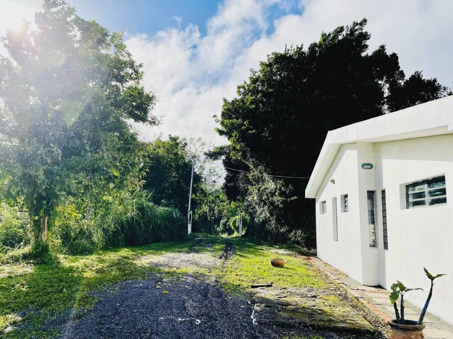 House In Nature, Between Land And Sea Villa Le Morne-Rouge Exterior photo