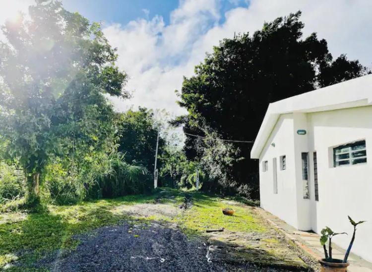 House In Nature, Between Land And Sea Villa Le Morne-Rouge Exterior photo