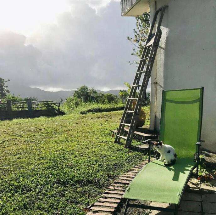 House In Nature, Between Land And Sea Villa Le Morne-Rouge Exterior photo