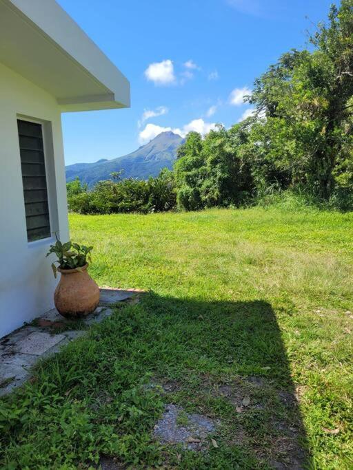 House In Nature, Between Land And Sea Villa Le Morne-Rouge Exterior photo