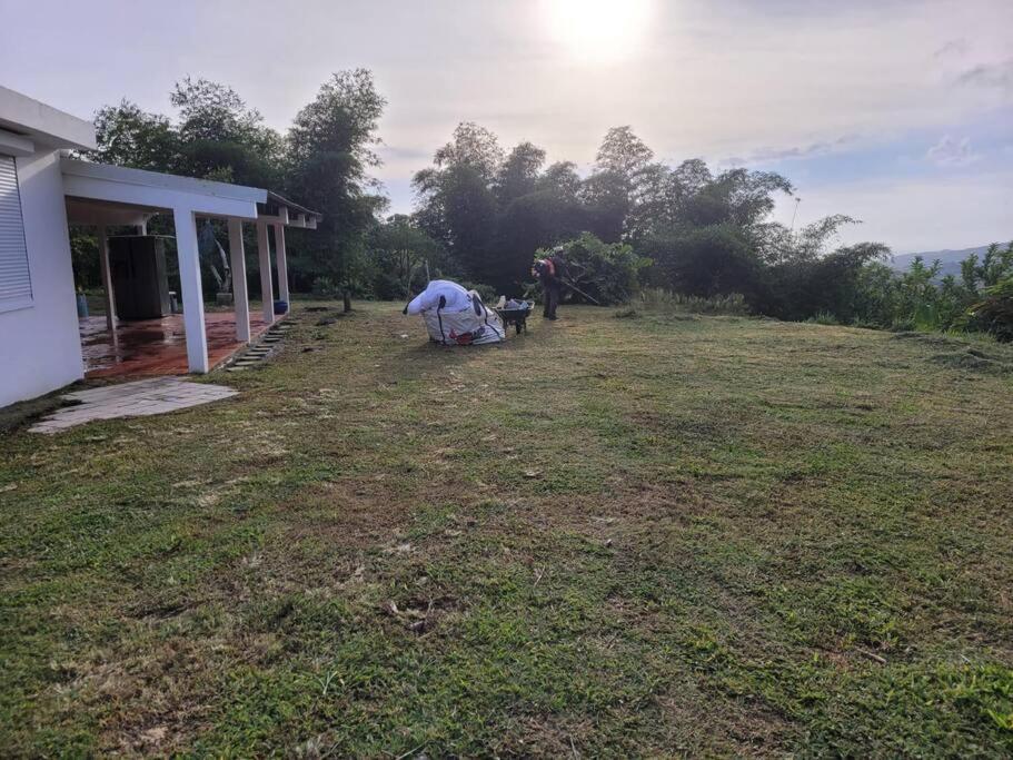 House In Nature, Between Land And Sea Villa Le Morne-Rouge Exterior photo